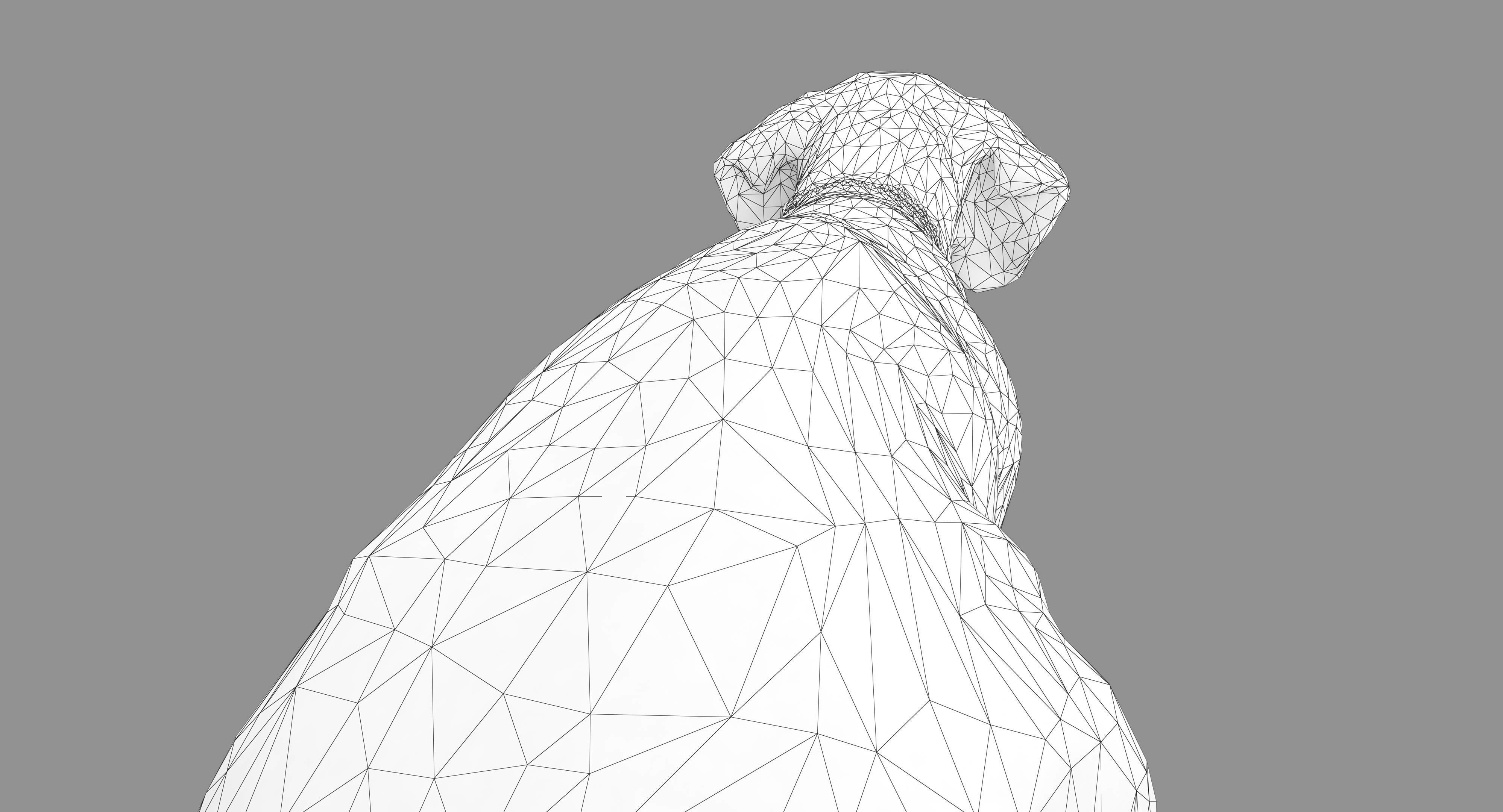 Beagle Low-poly 3D model_30