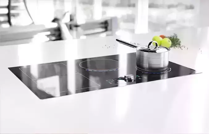 Induction cooker with pot