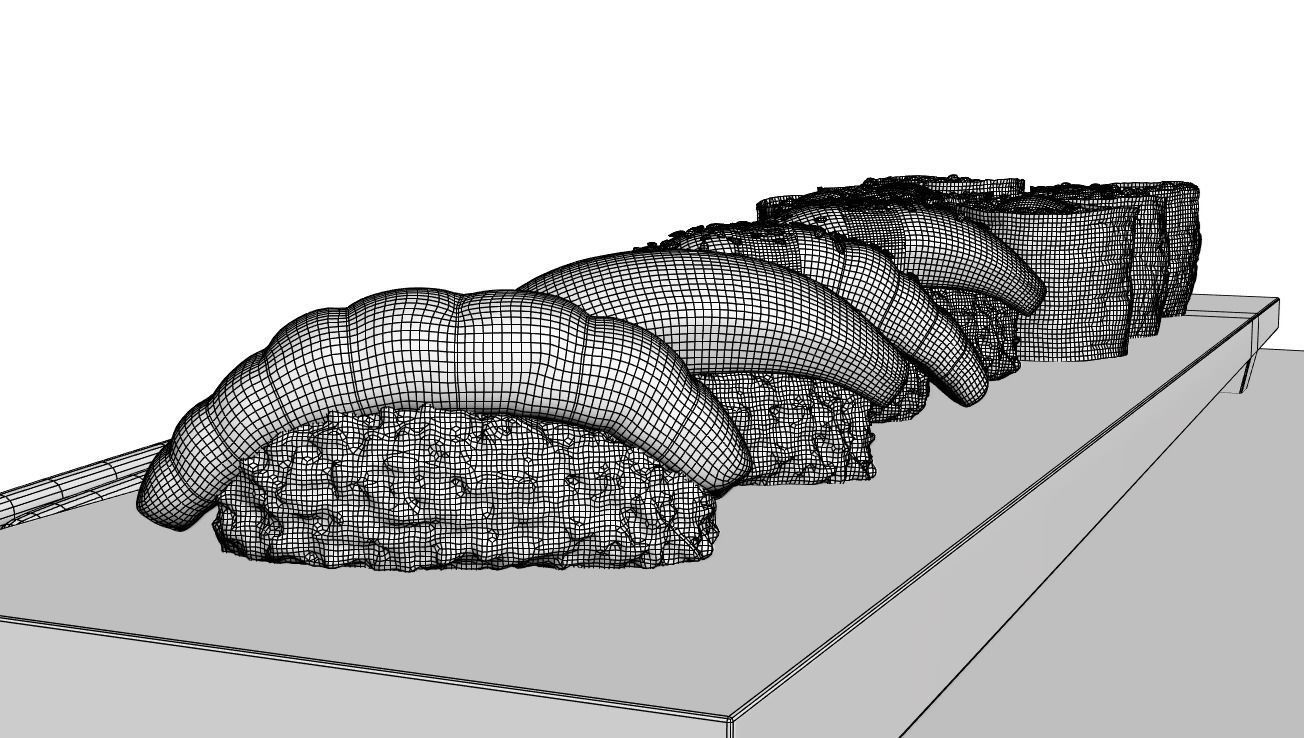 Sushi 3D model set of teeth on tray 3D model_6