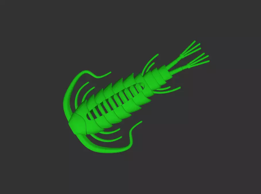 Centipede Bug 3D print model