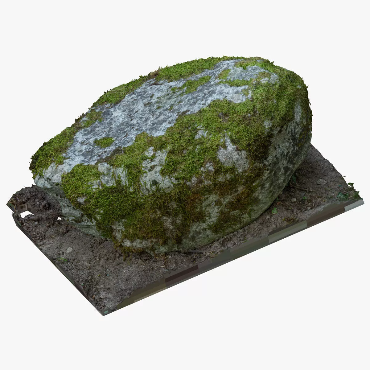 Forest Rock 03 RAW SCAN 3D model