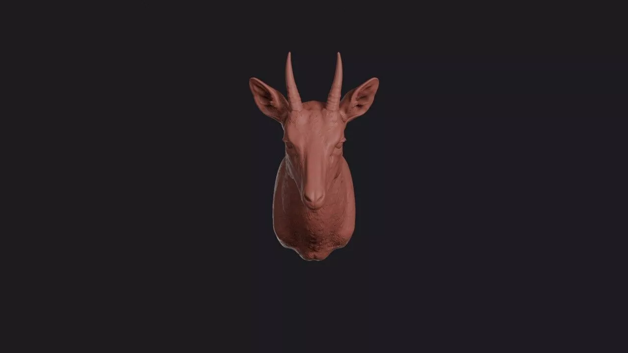 Klipspringer Head 3D print model