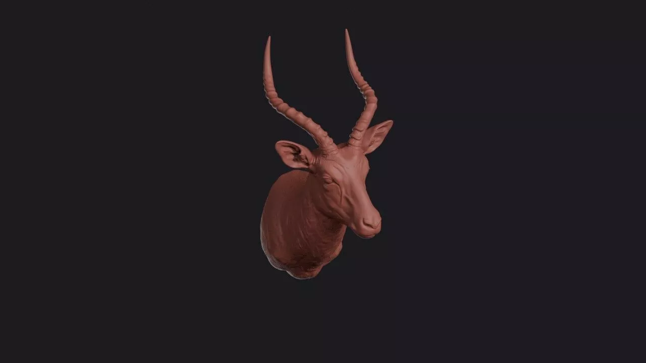 Impala Head 3D print model