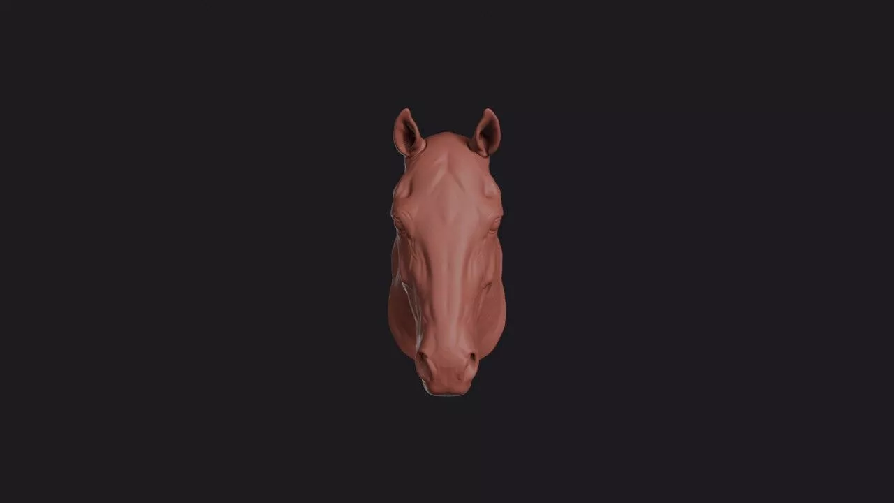 Horse Head 3D print model