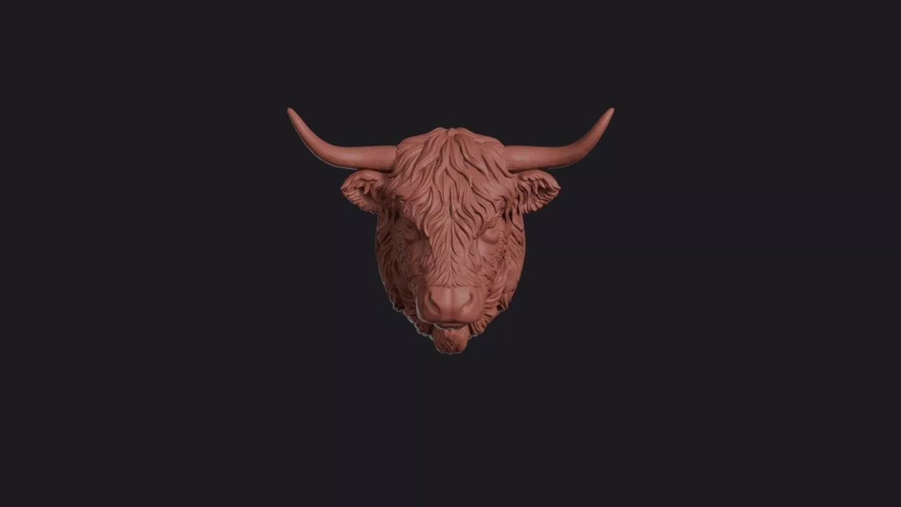 Highland Cattle Head 3D print model
