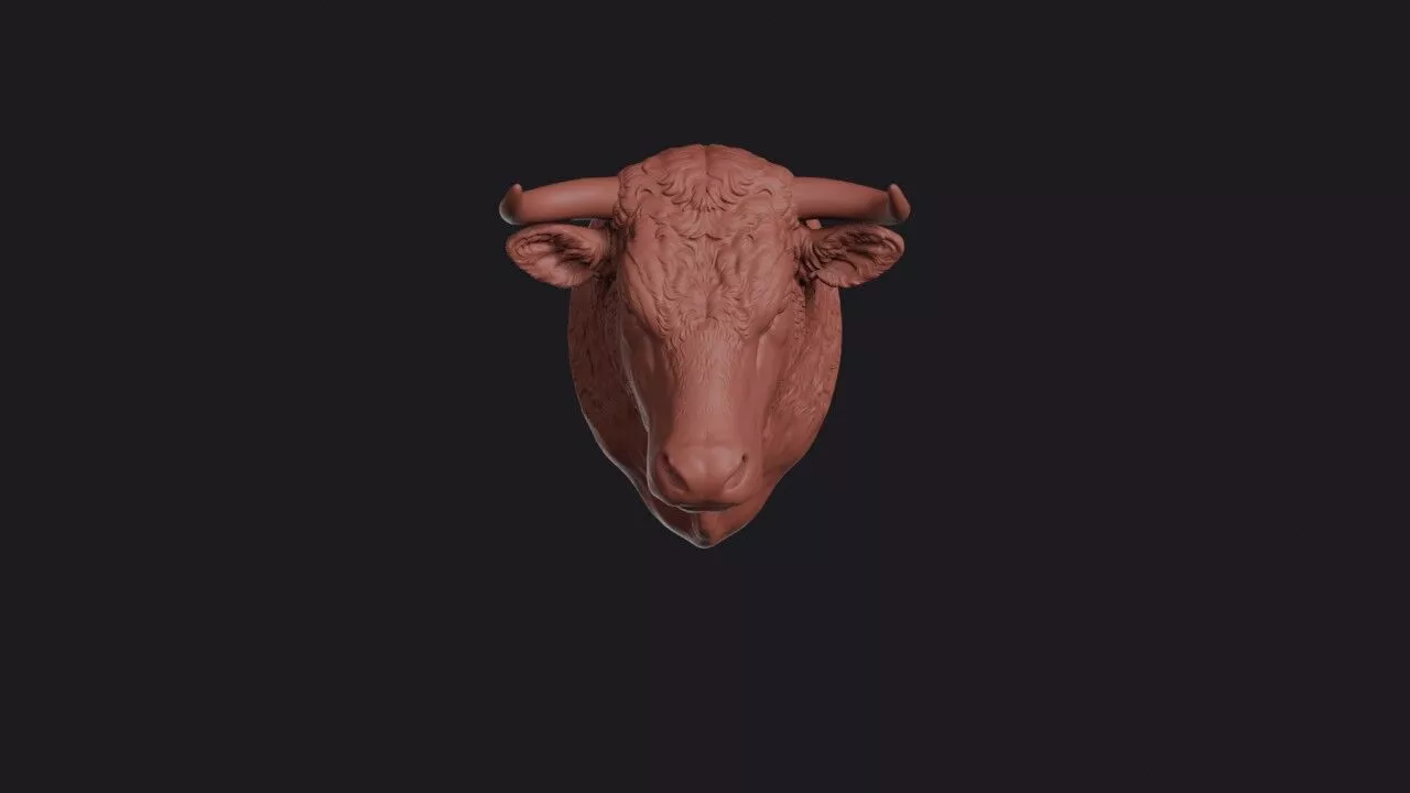 Hereford Head 3D print model