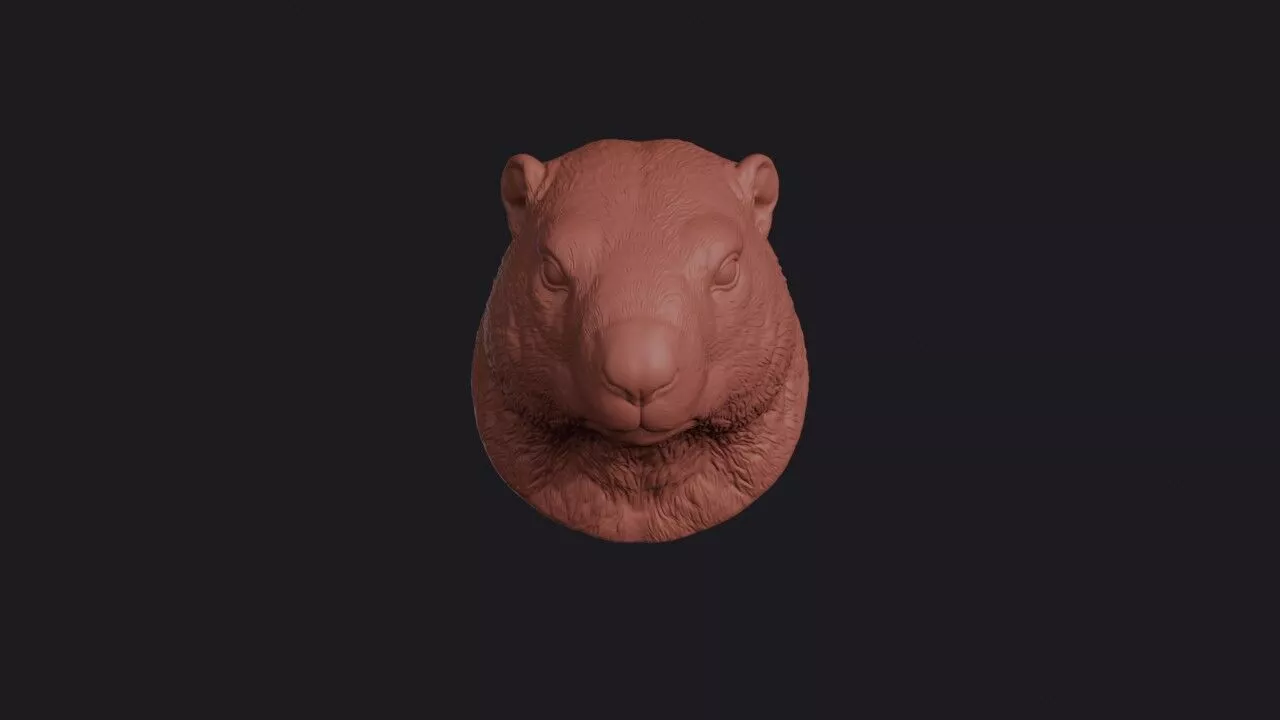 Groundhog Head 3D print model