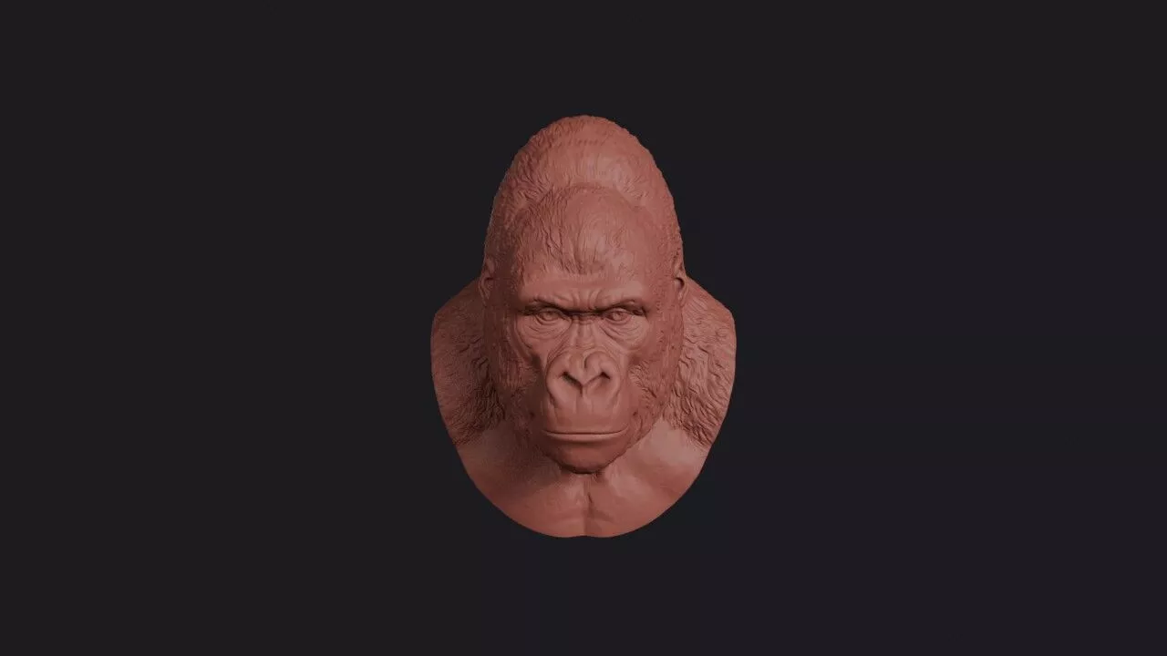 Gorilla Head 3D print model