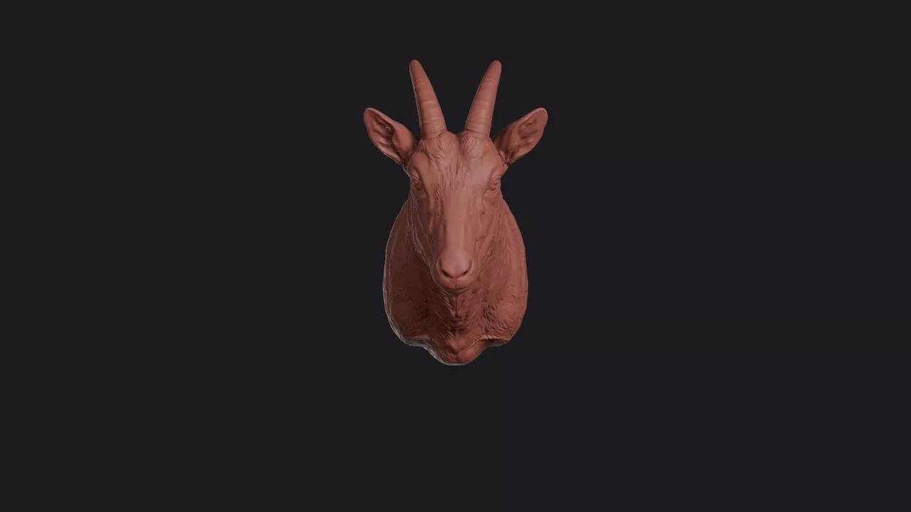 Goral Head 3D print model