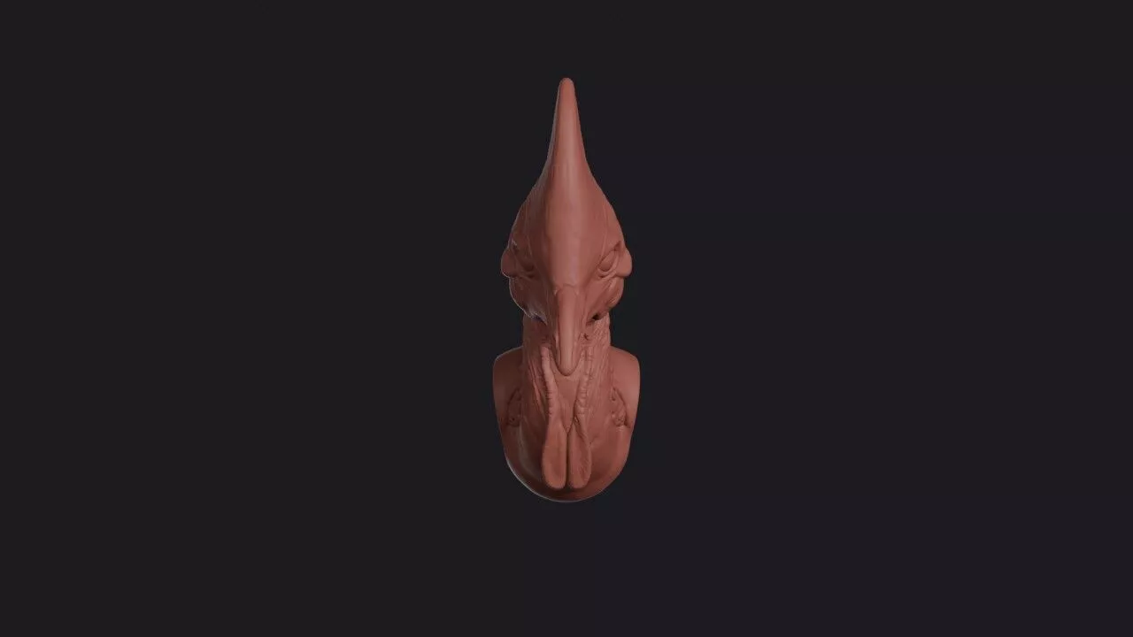 Cassowary Head 3D print model