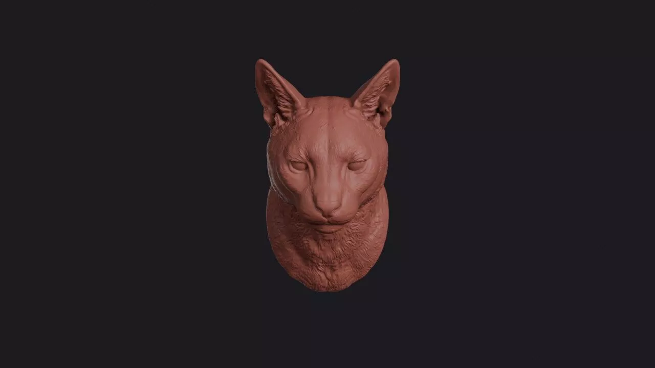 Caracal Head 3D print model