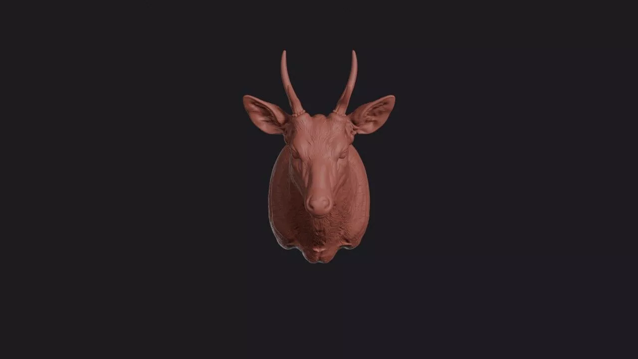 Brocket Deer Head 3D print model