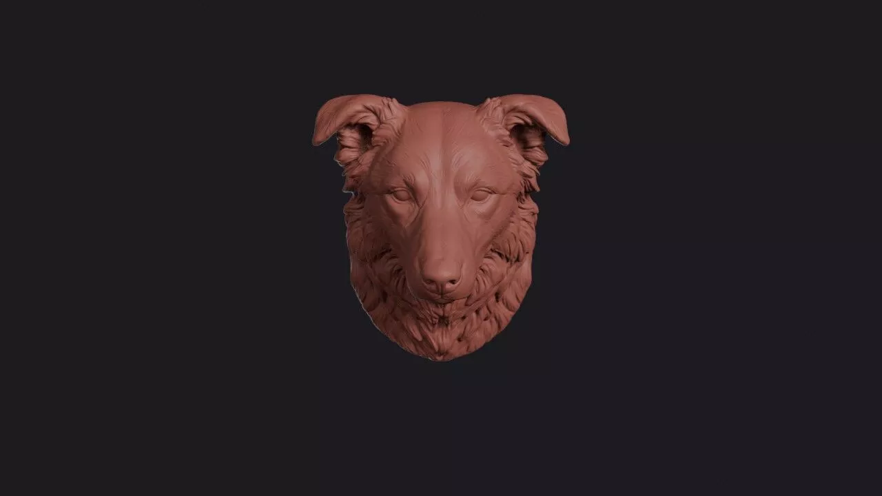 Border Collie Head 3D print model