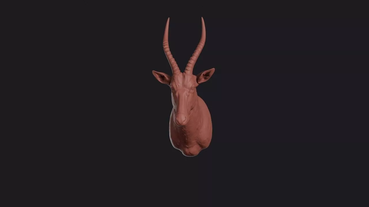 Blesbok Head 3D print model