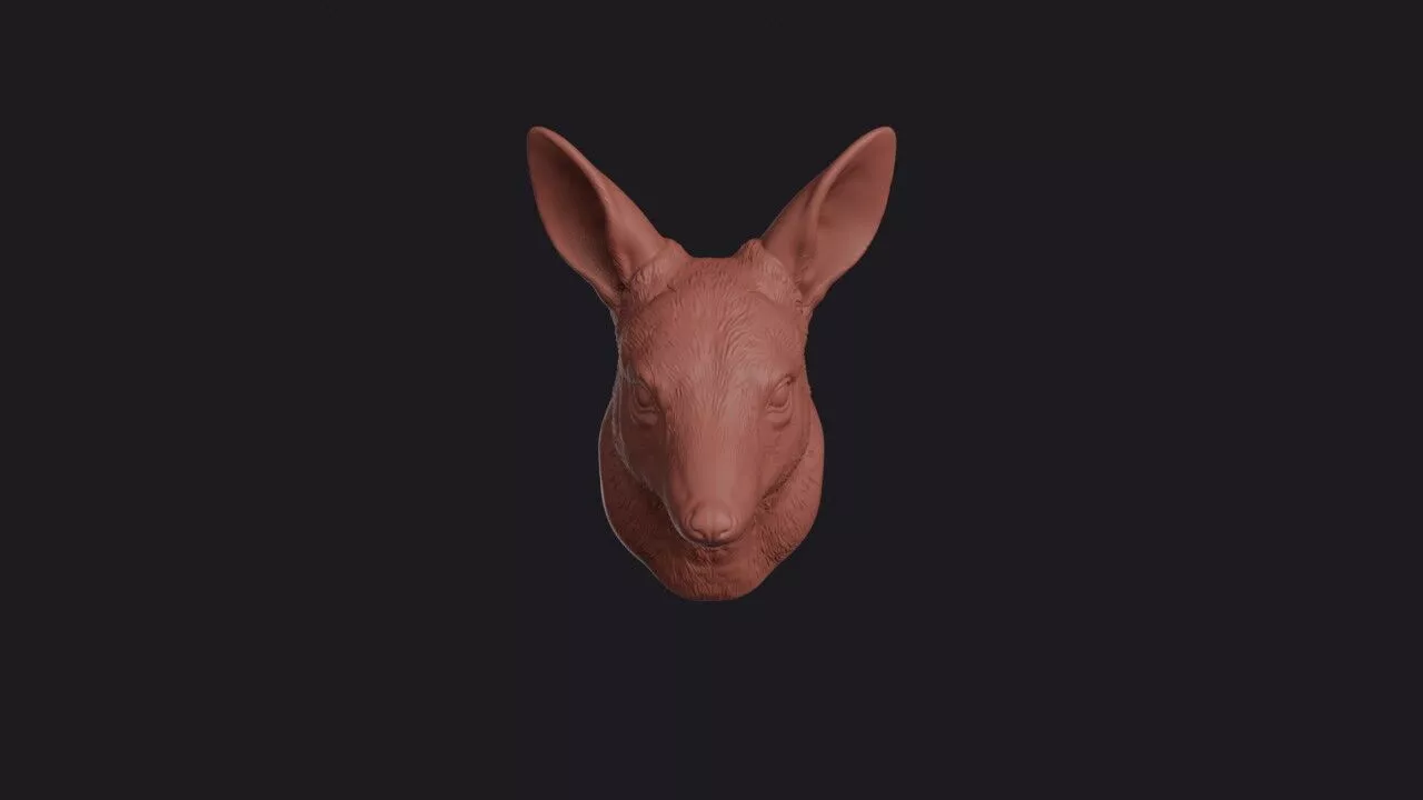 Bilby Head 3D print model