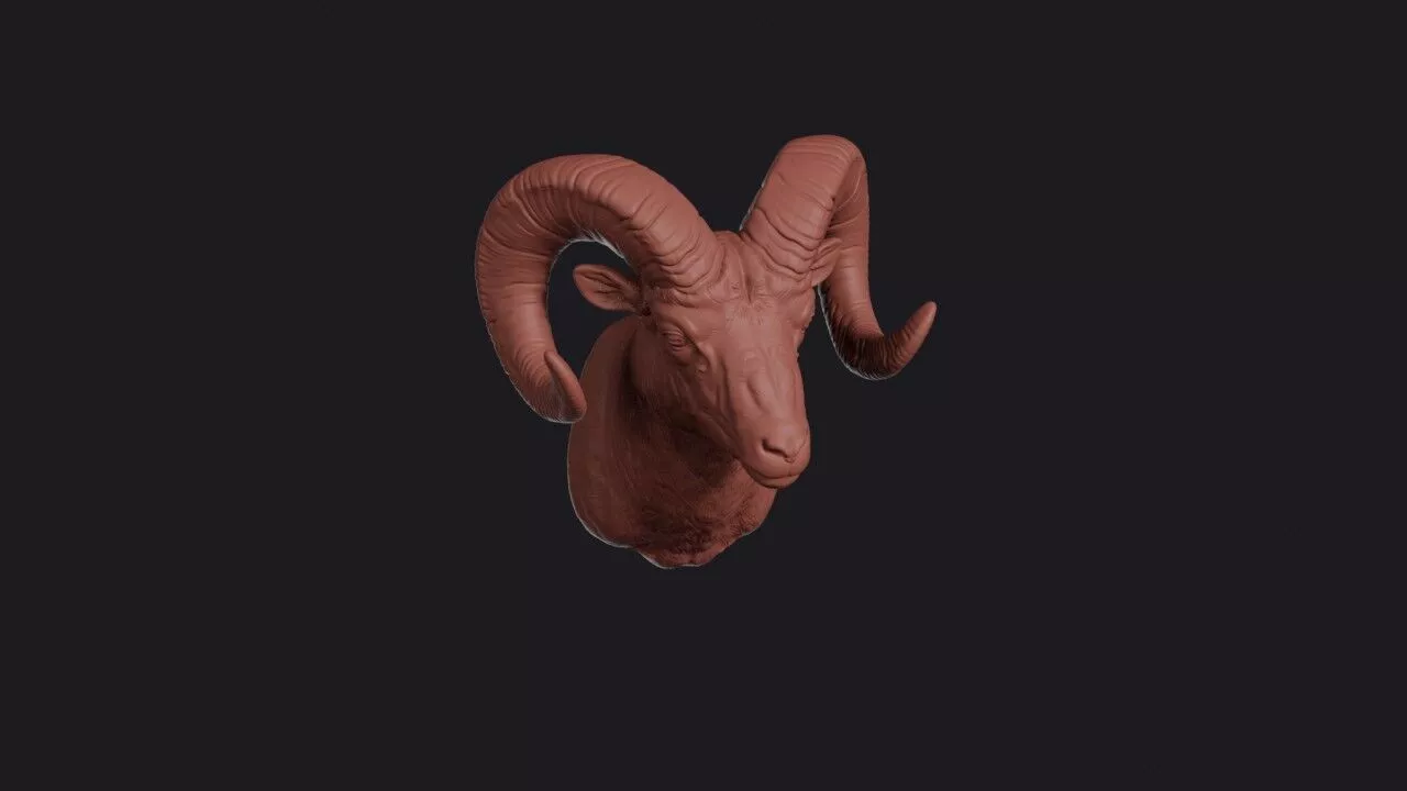 Bighorn Sheep Head 3D print model