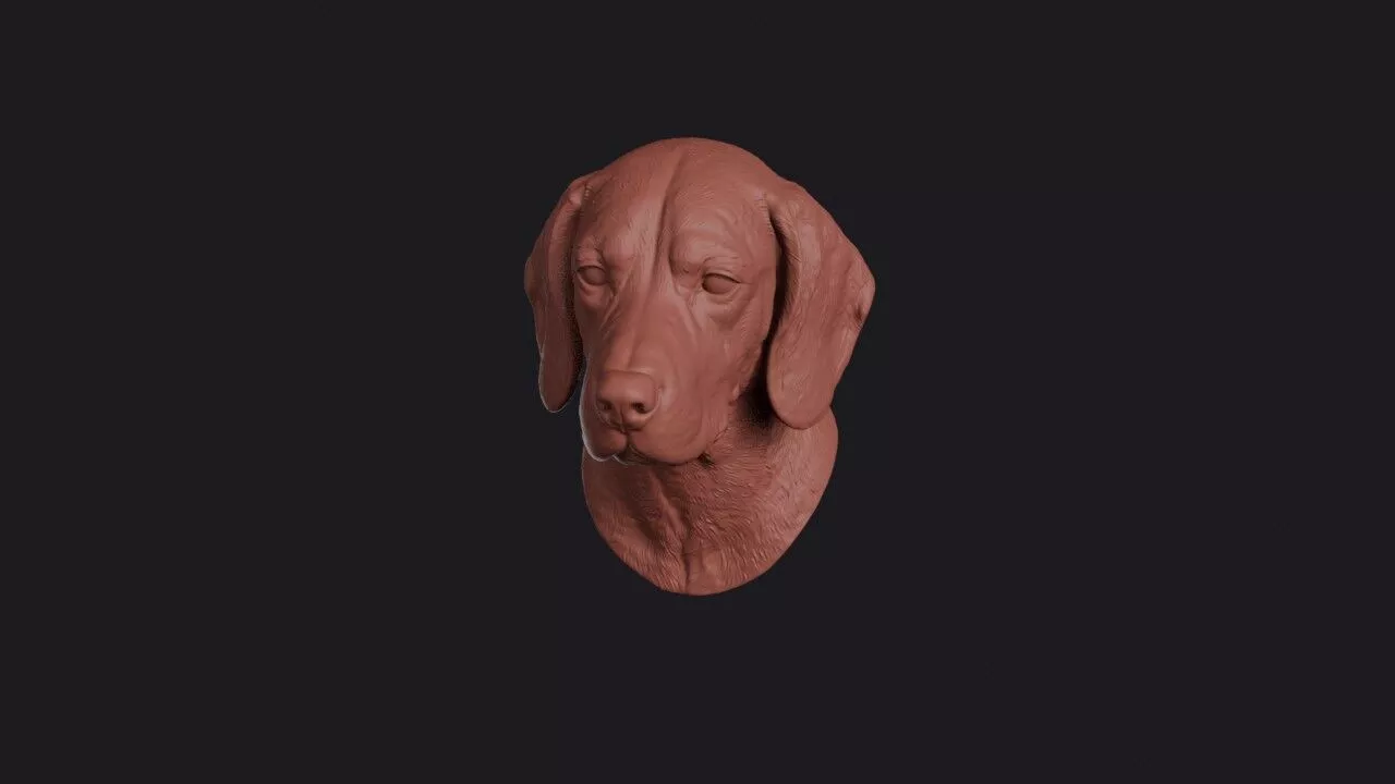 Beagle Head 3D print model