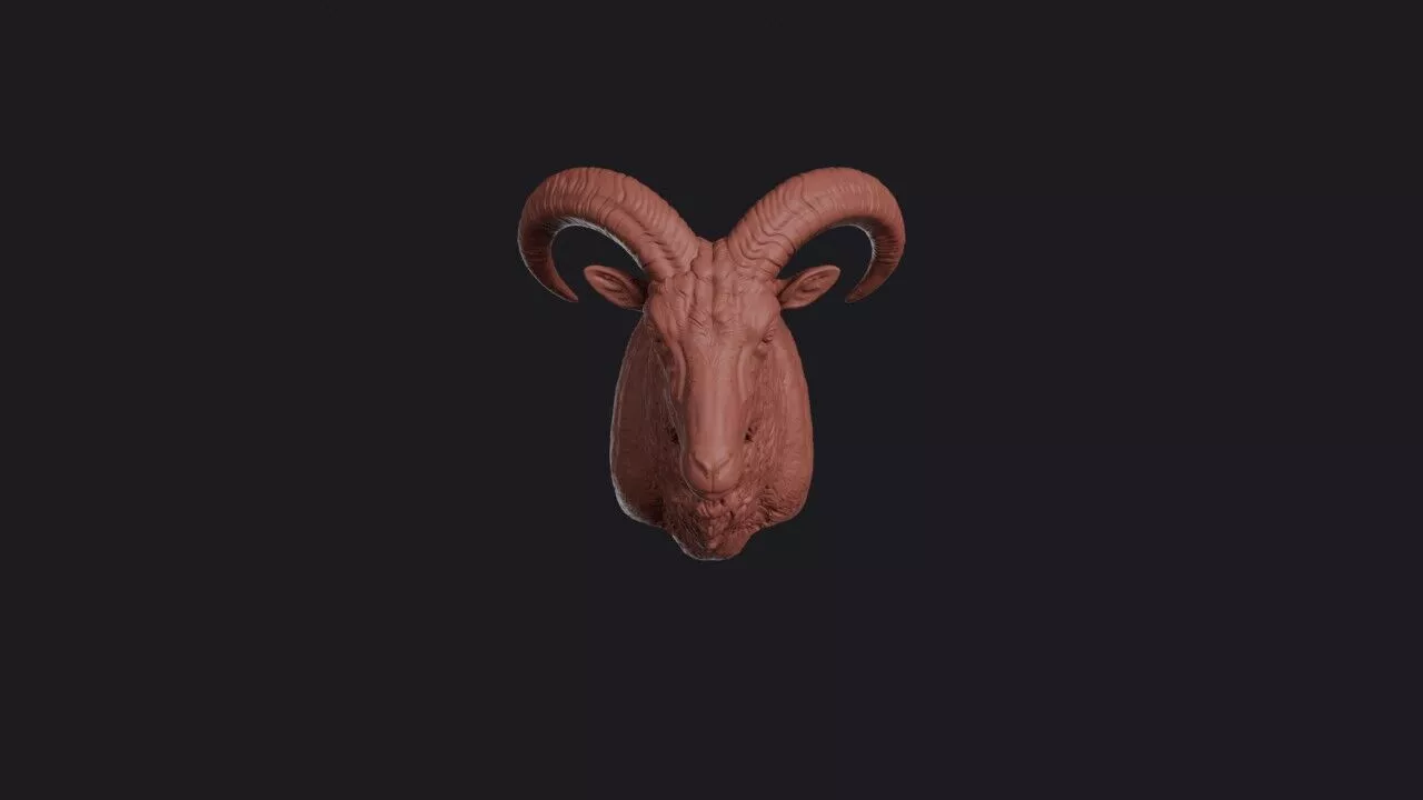 Barbary Sheep Head 3D print model