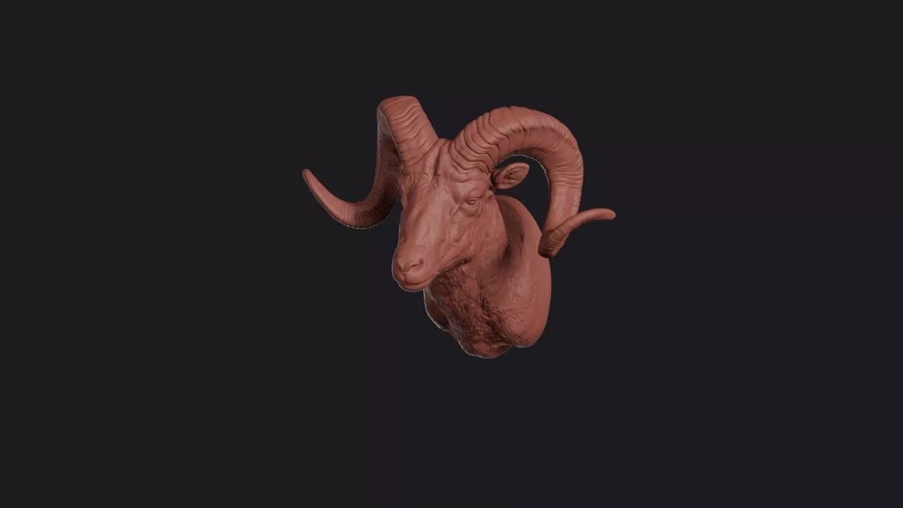 Argali Head 3D print model