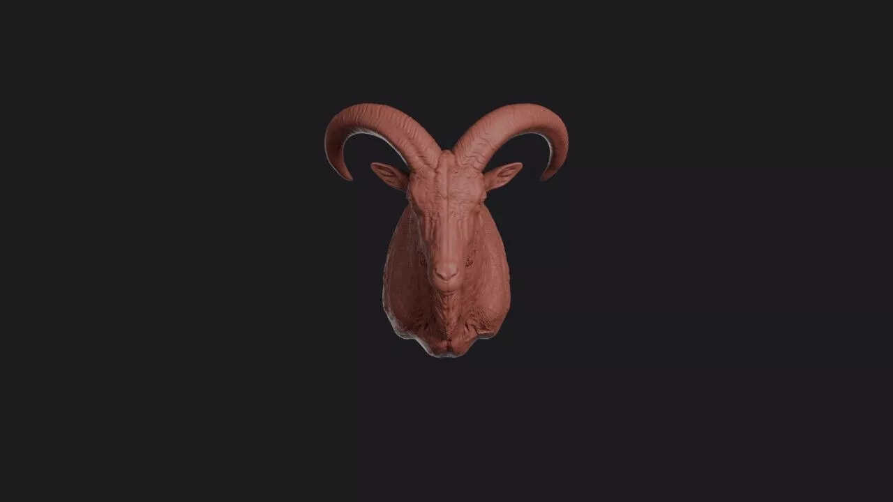 Aoudad Head 3D print model