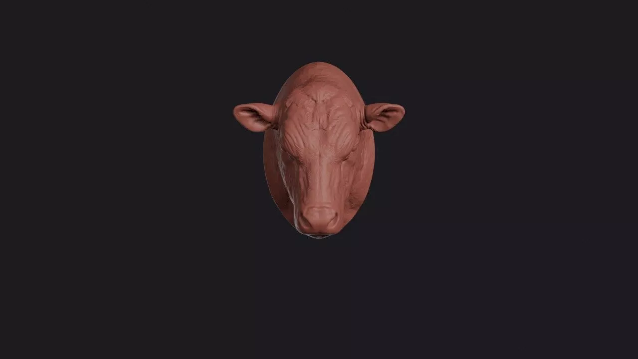 Angus Head 3D print model