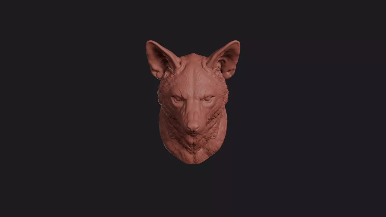 Aardwolf Head 3D print model