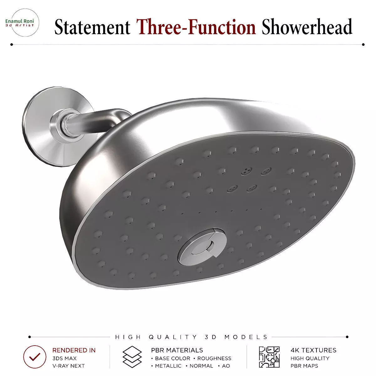 Statement Three-Function Showerhead 3D model