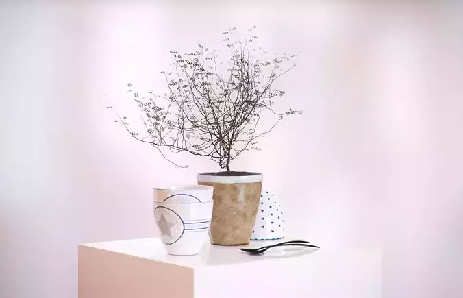 Decorative tree in a pot HG2