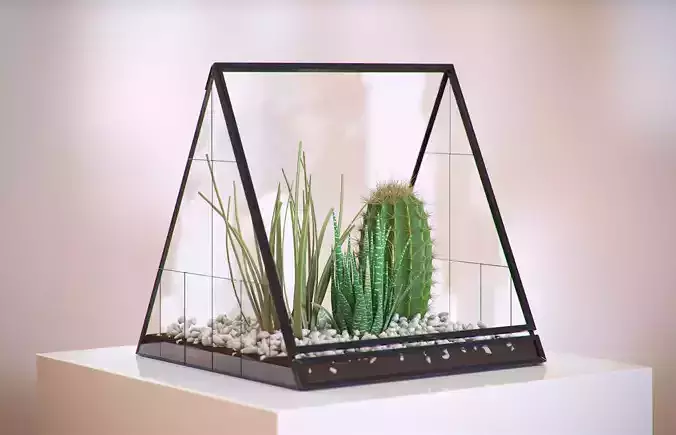 Cactus in a glass vase HG2