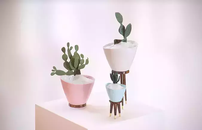 Decorative vases set with cactus HG2