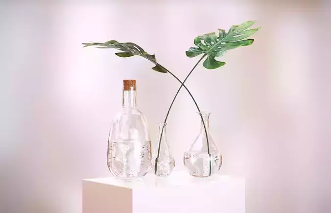 Decorative glass vases HG2