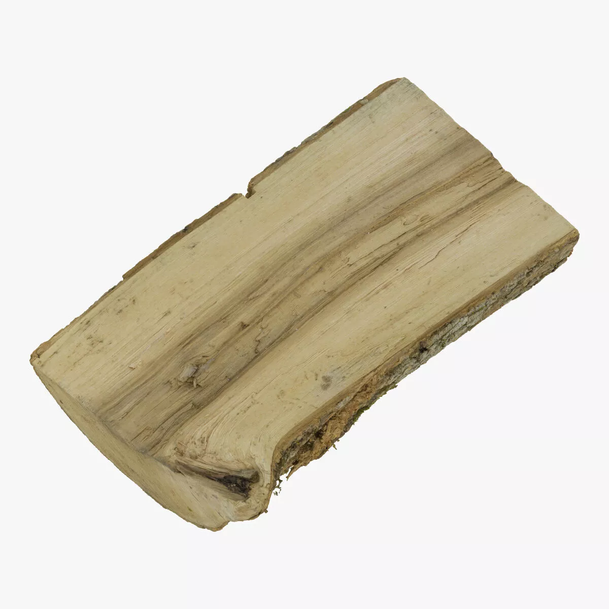 Wooden Log 03 RAW SCAN 3D model