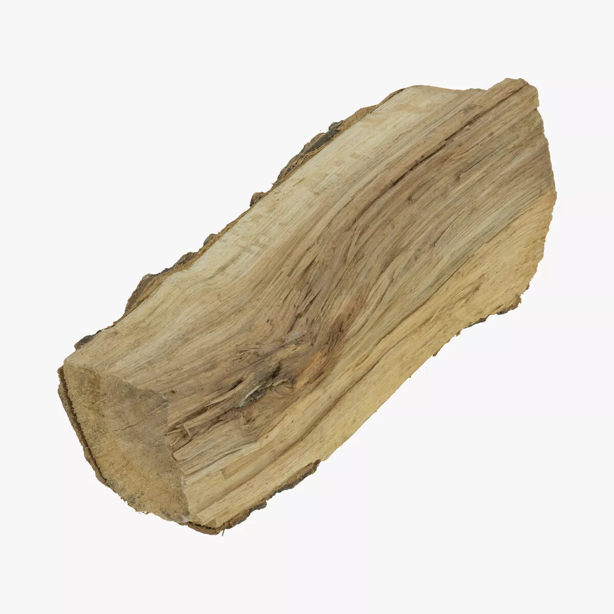 Wooden Log 01 RAW SCAN 3D model
