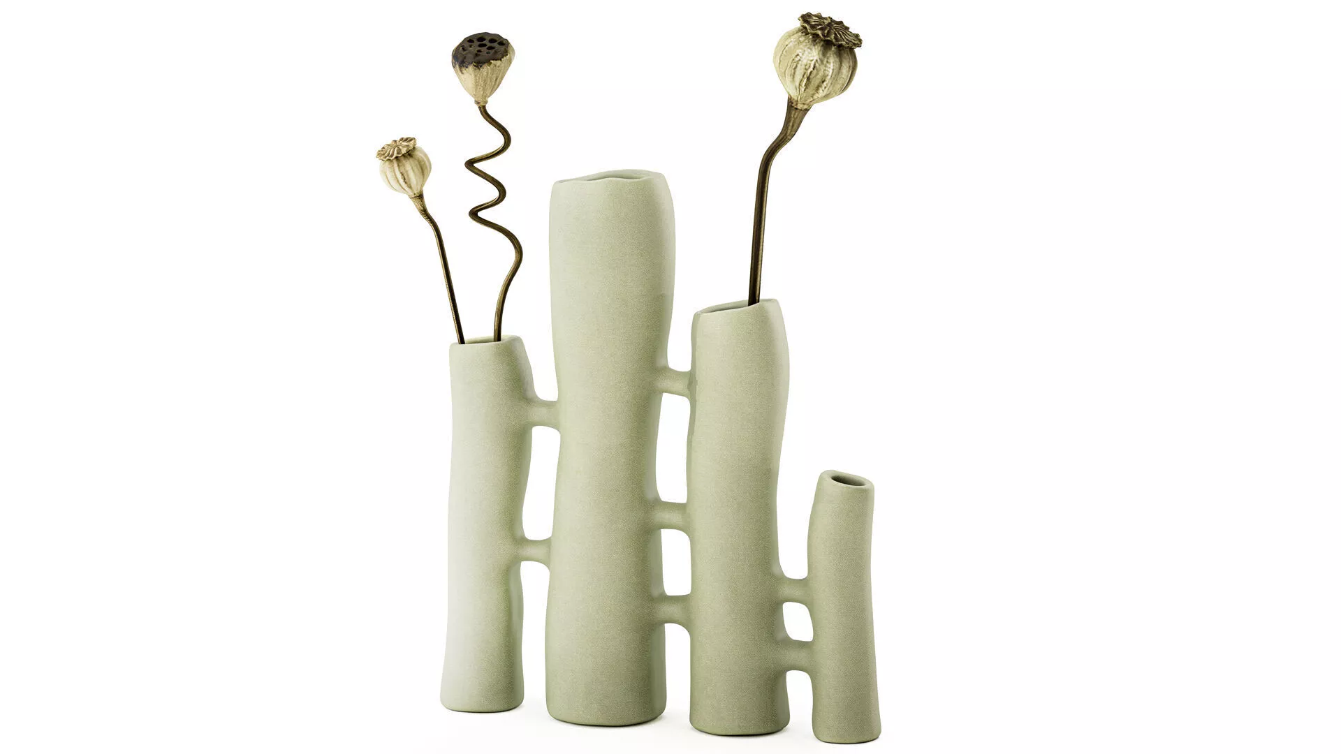 Minimalist Bouquet Dry Poppy Lotus Italian Vases decor new top 3D model