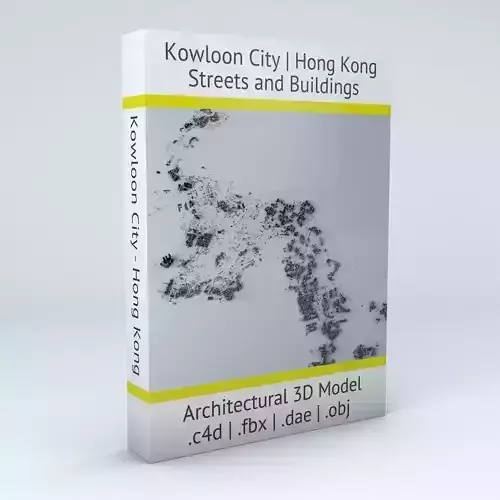 Kowloon City District of Hong Kong Streets and Buildings 3D model