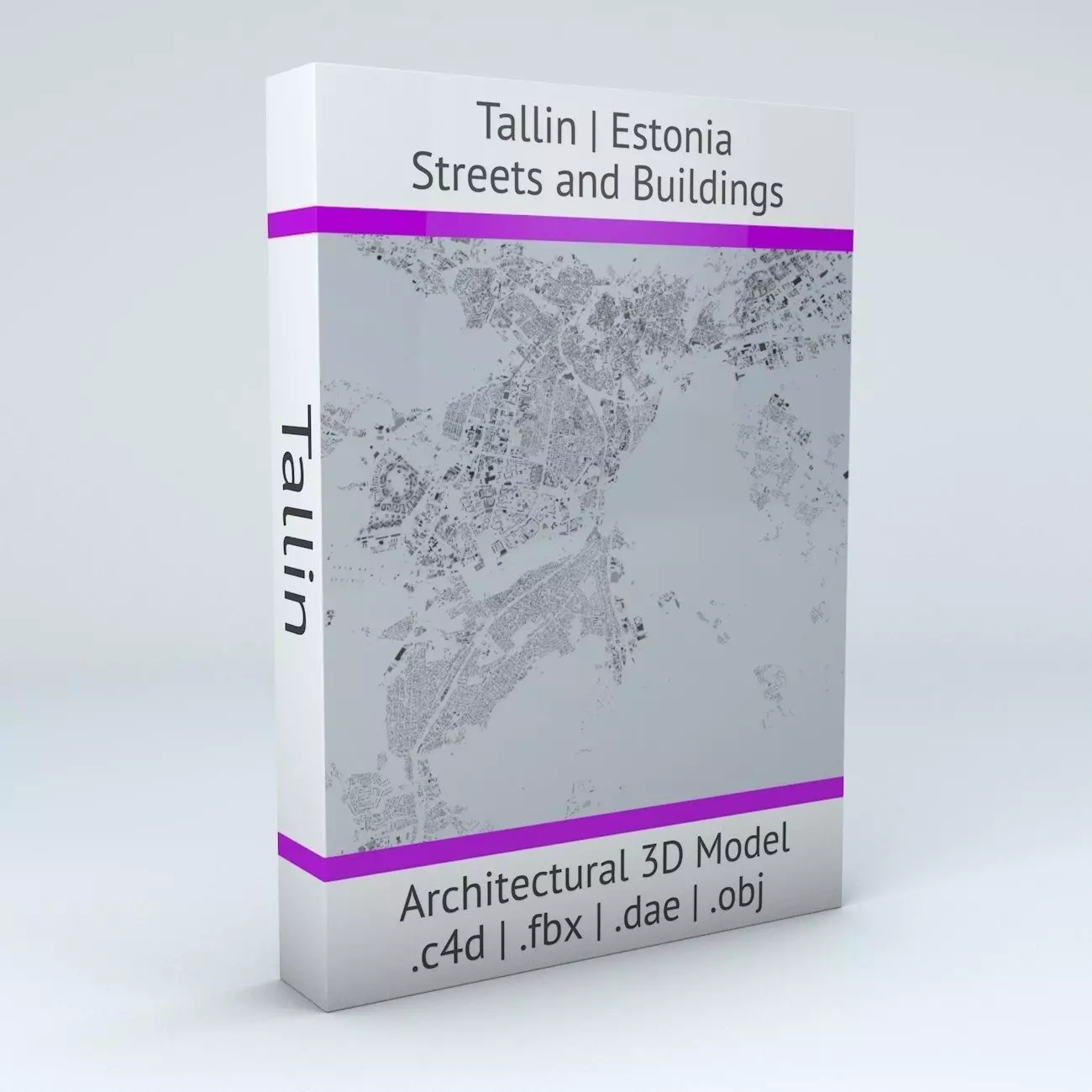 Tallinn Streets and Buildings 3D model_0