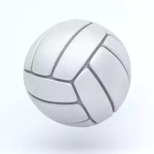 Voley ball