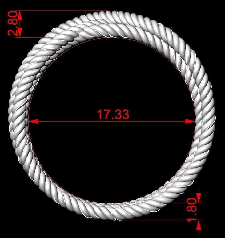 Ring ropes 3D print model_10
