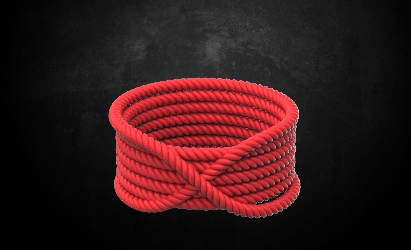 Ring ropes 3D print model_7