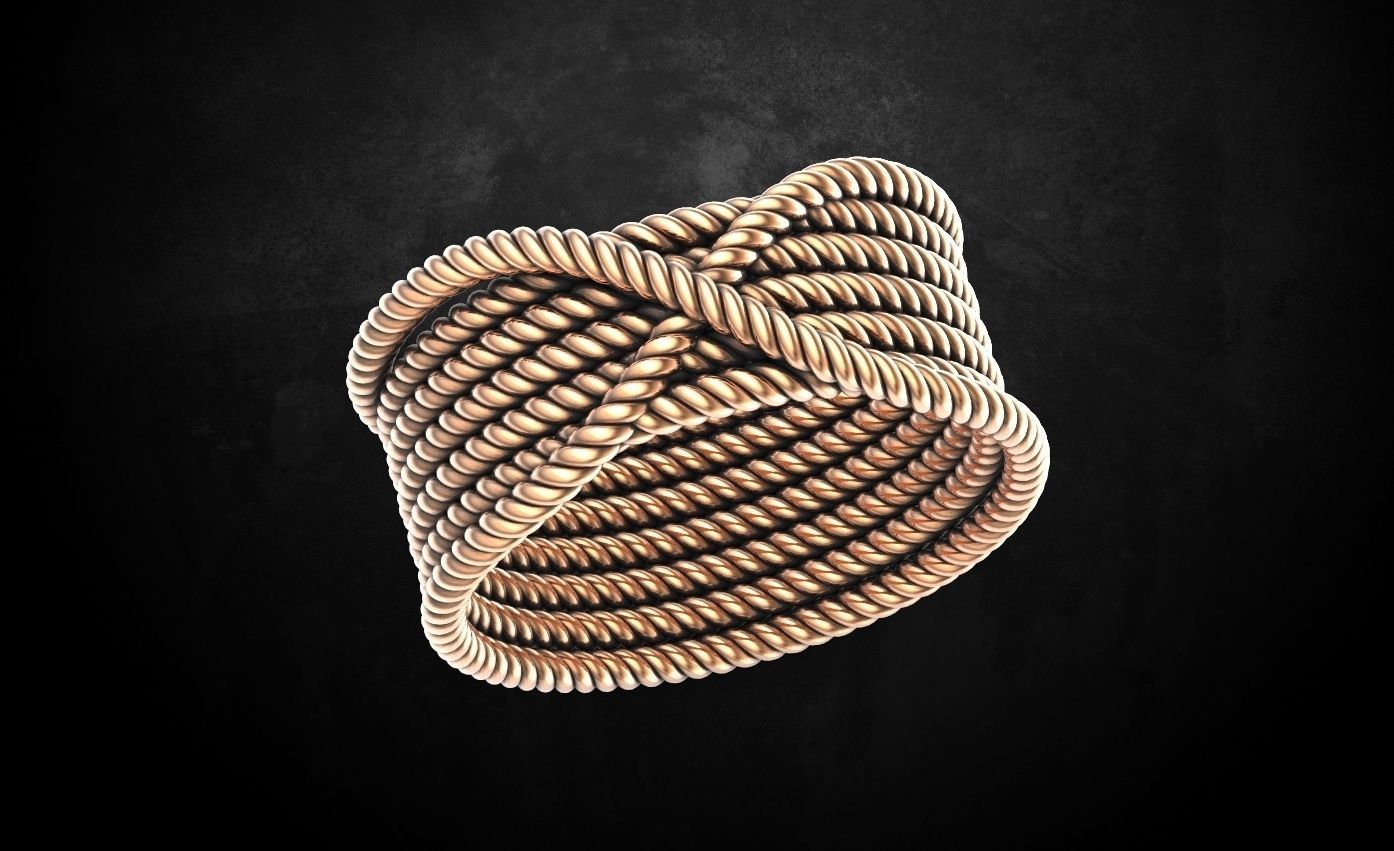 Ring ropes 3D print model_4