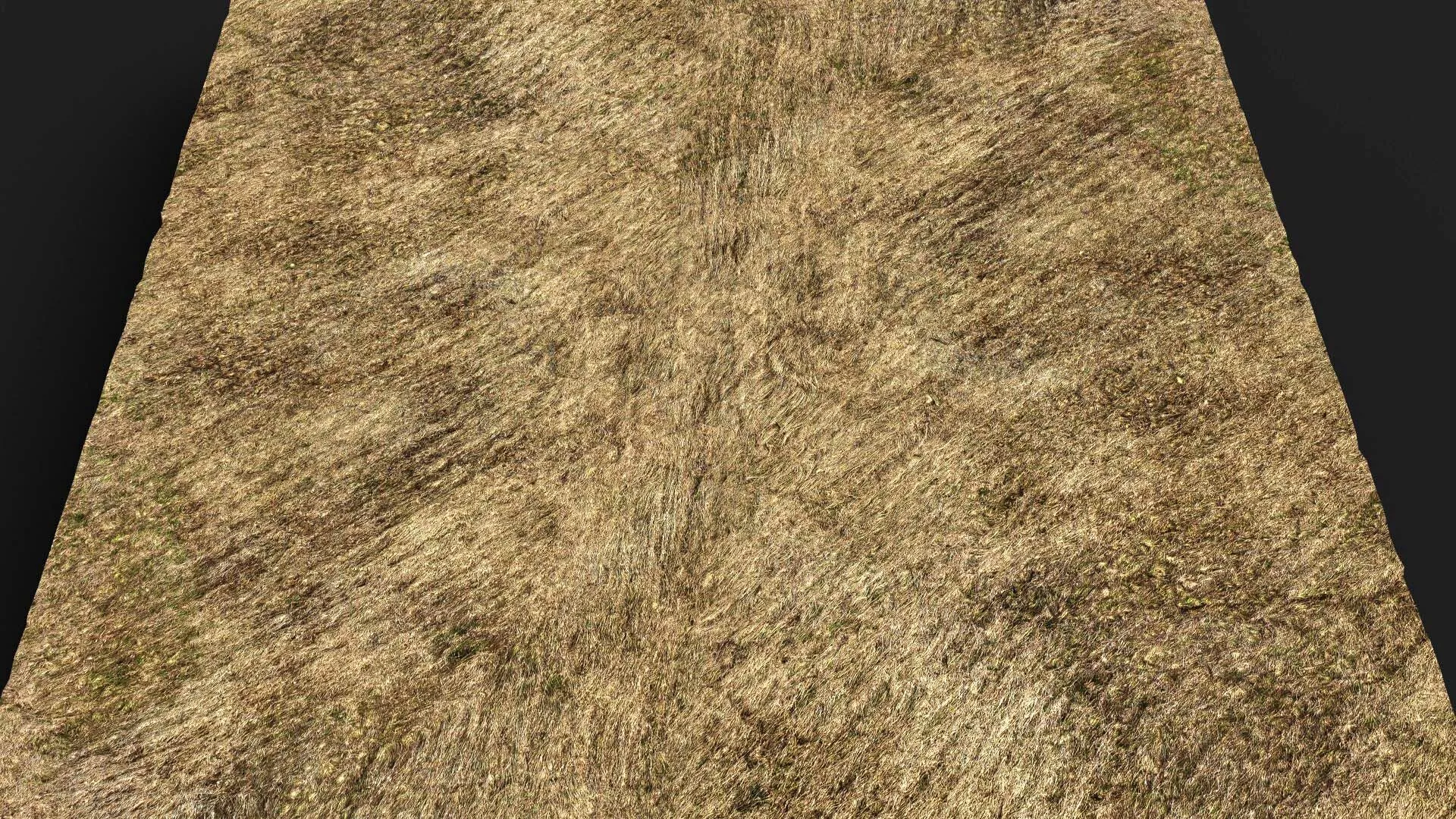 terrain ground grass bushes patch pt11 PBR photogrammetry Low-poly 3D model
