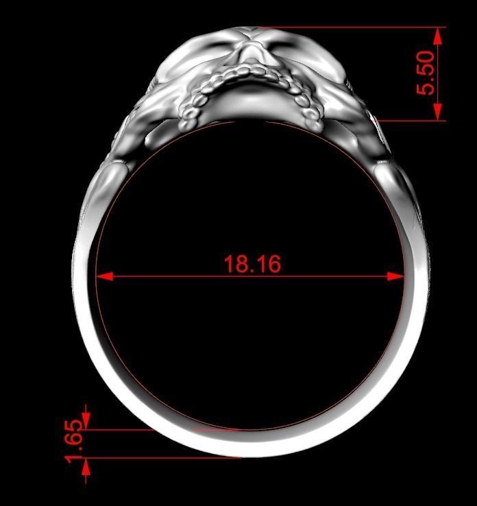 Ring for skull for bikers  78 3D print model_14