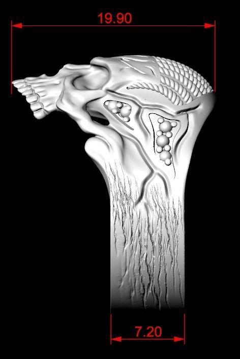 Ring for skull for bikers  78 3D print model_13