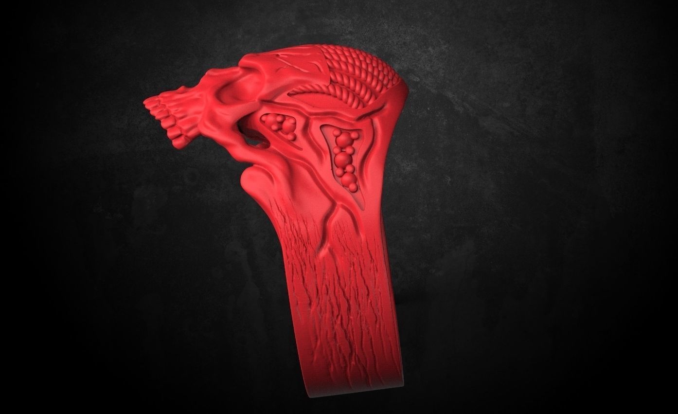 Ring for skull for bikers  78 3D print model_10