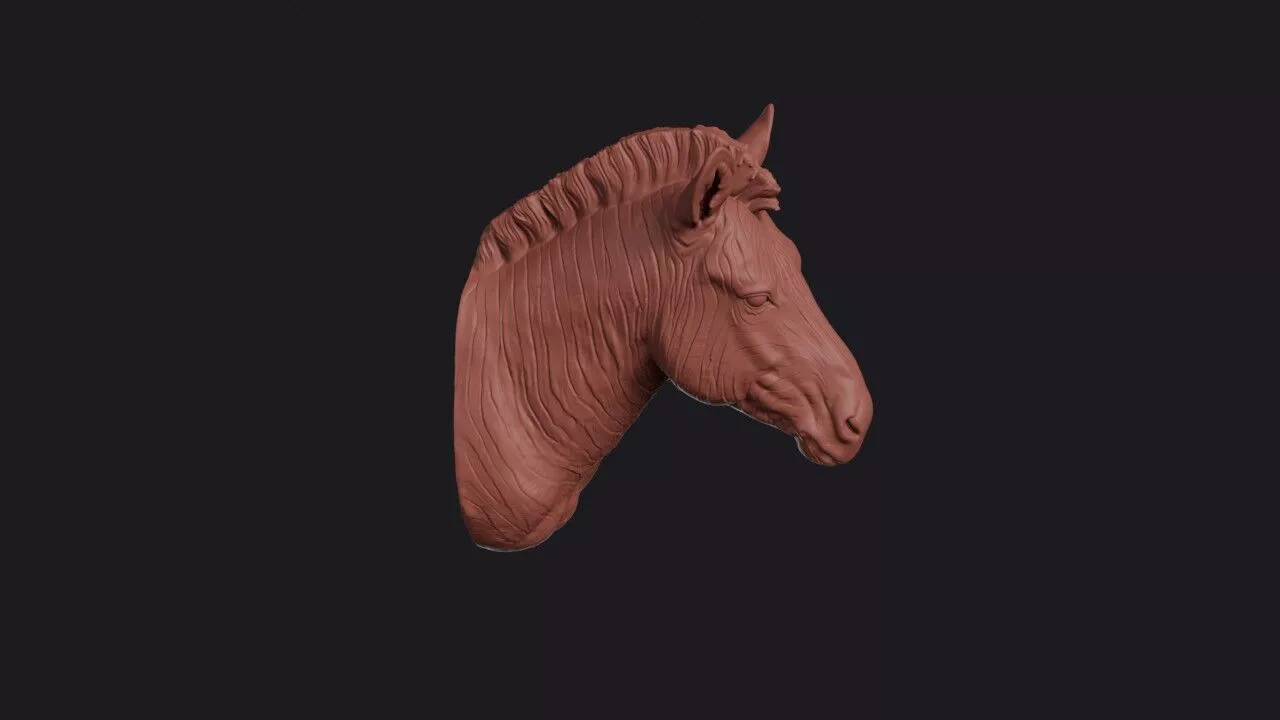 Zebra Head 3D print model