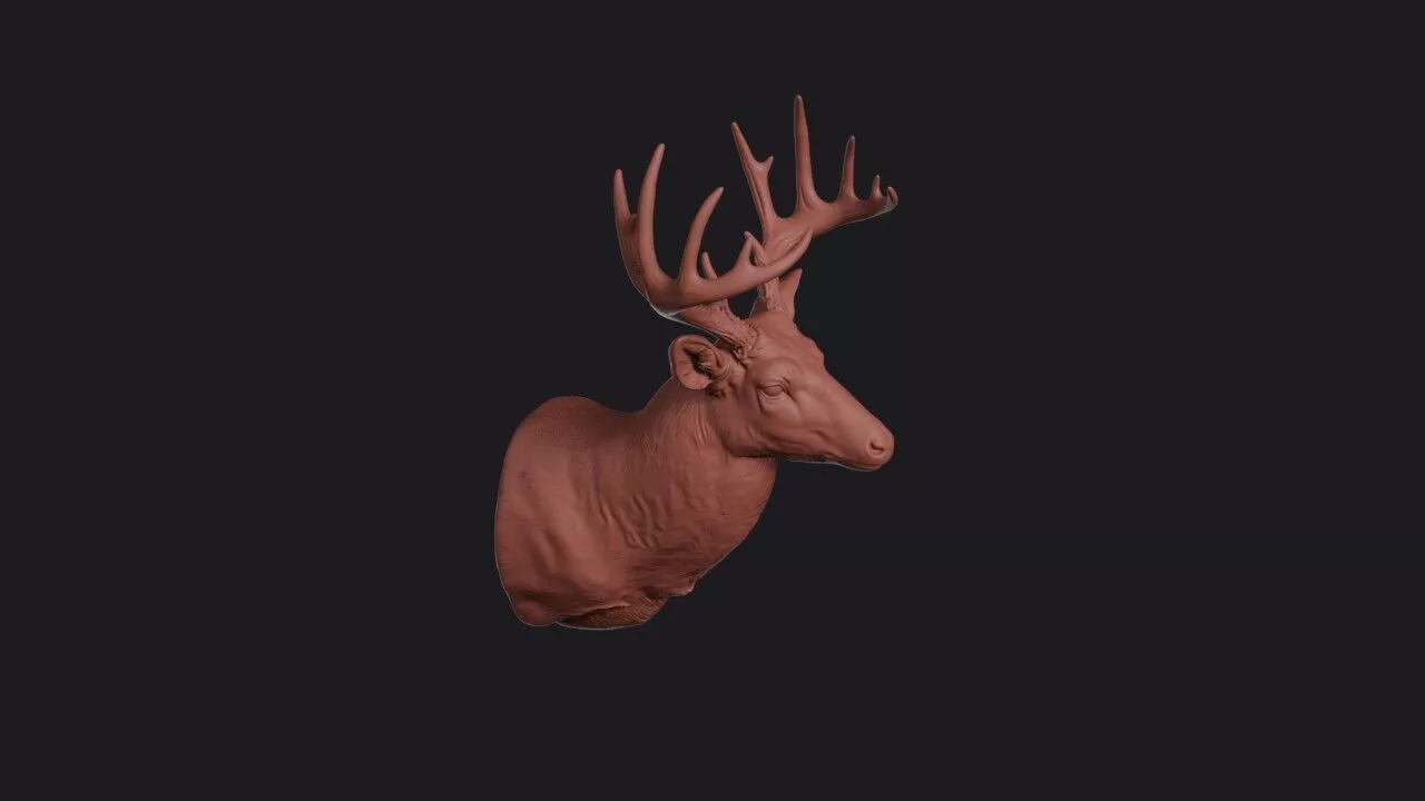 White-Tailed Deer Head 3D print model