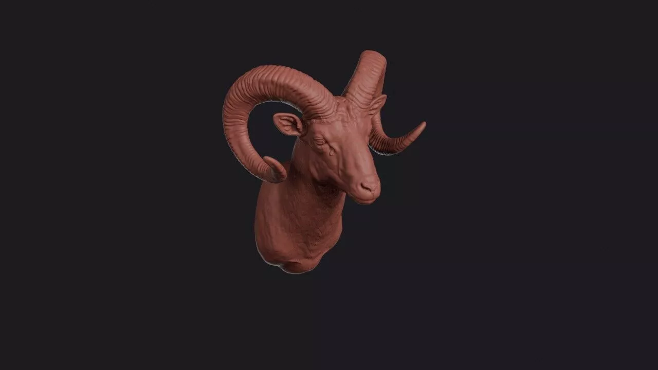 Urial Head 3D print model