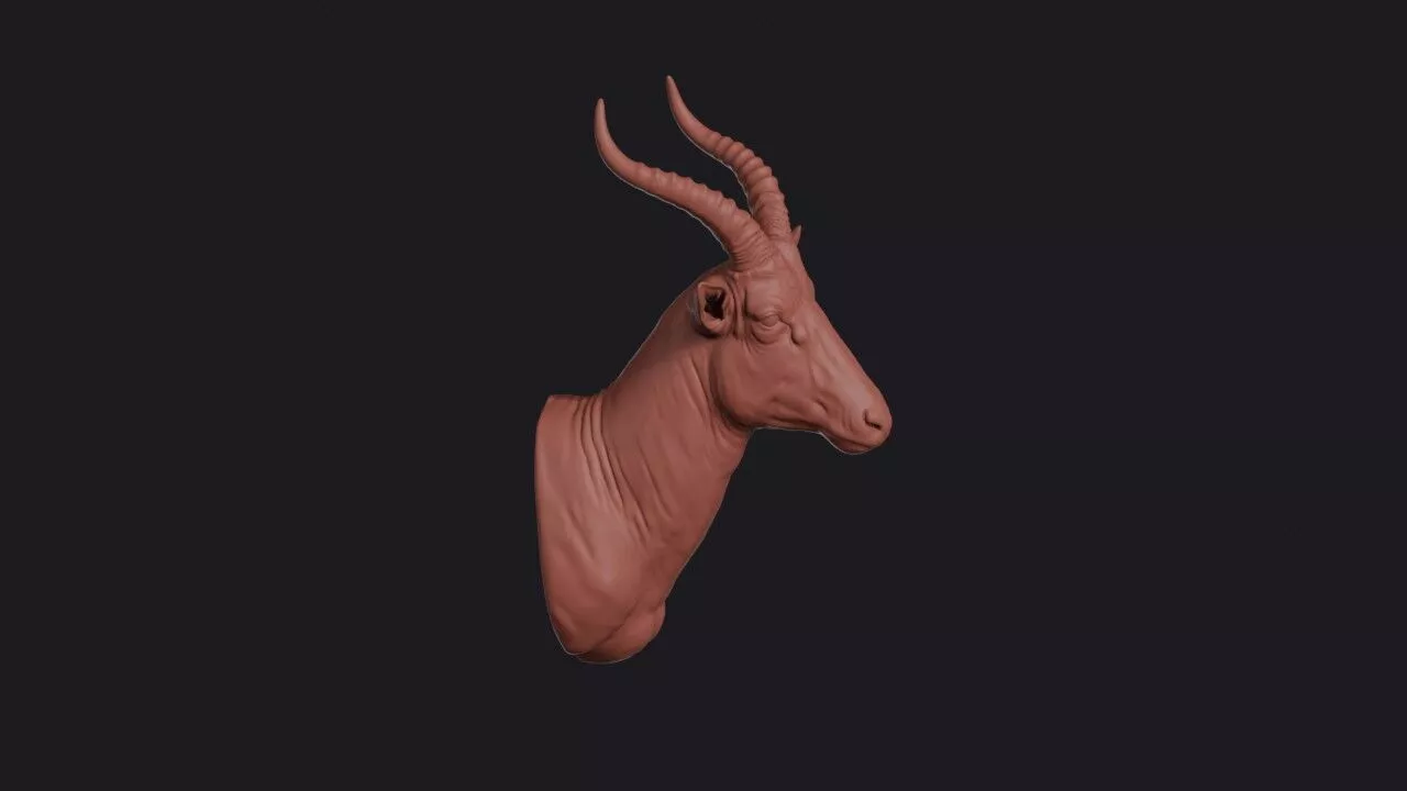 Topi Head 3D print model