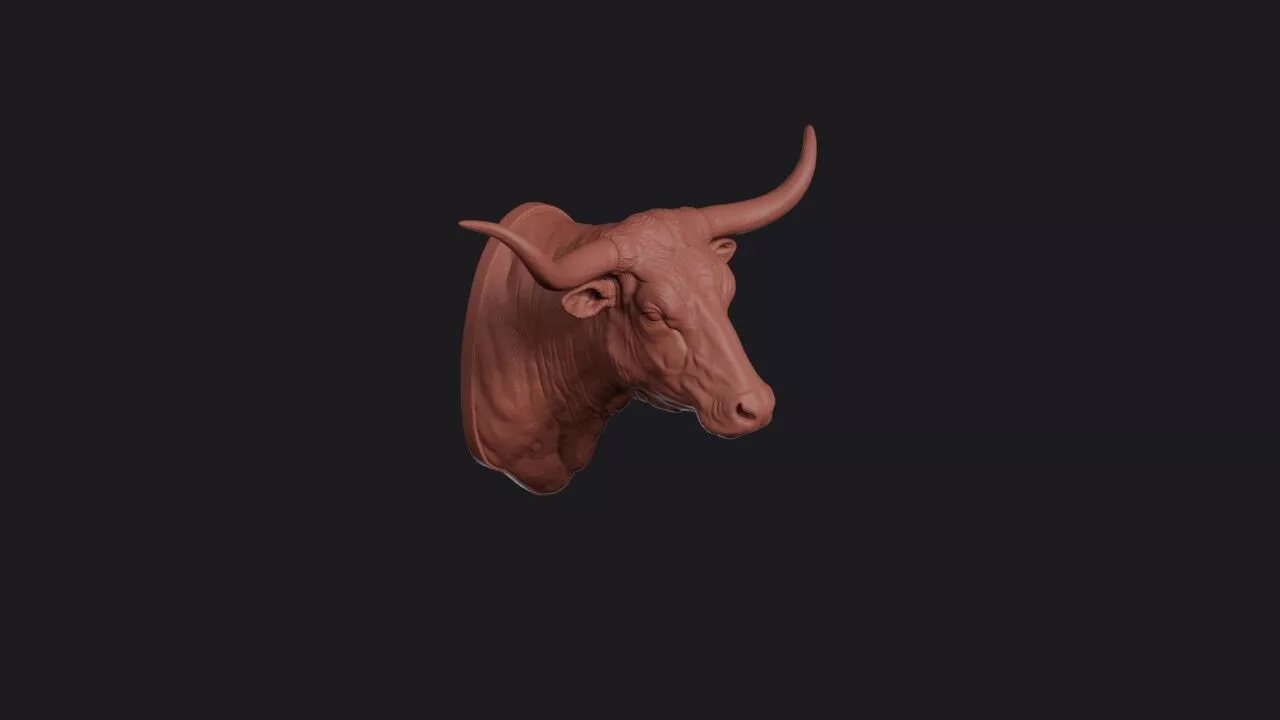 Texas Longhorn Head 3D print model