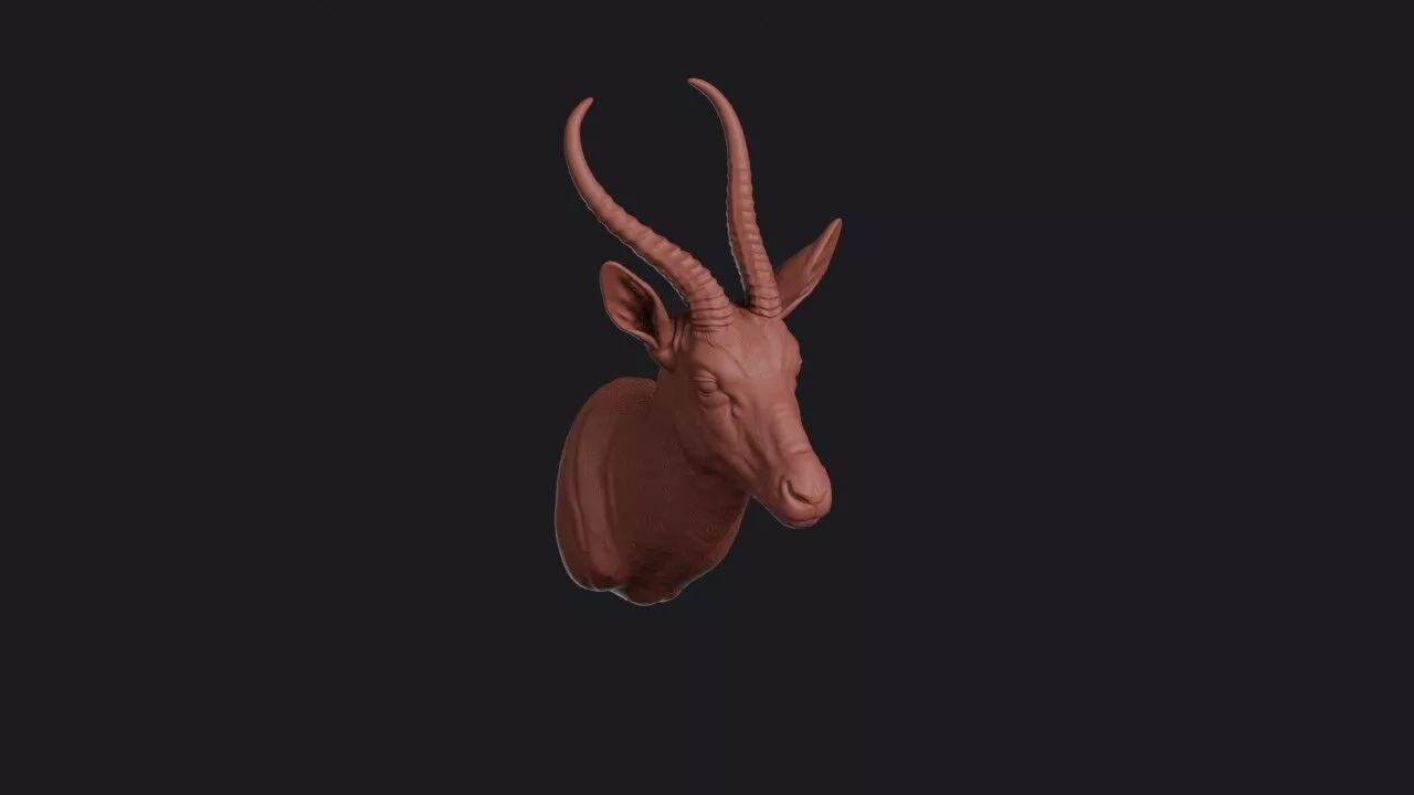 Springbok Head 3D print model